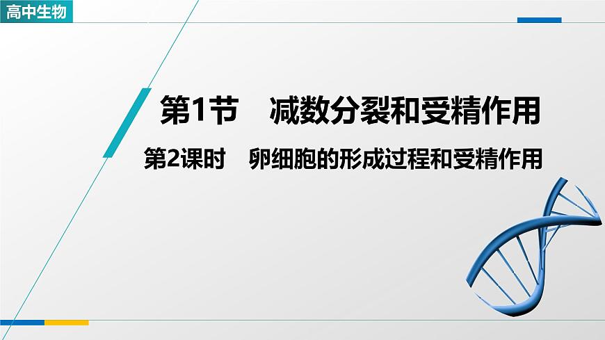 人教版高中生物必修2《2-1减数分裂和受精作用 第2课时》教学课件第1页