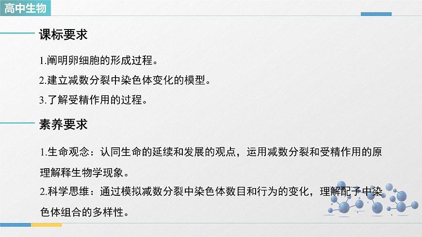 人教版高中生物必修2《2-1减数分裂和受精作用 第2课时》教学课件第2页