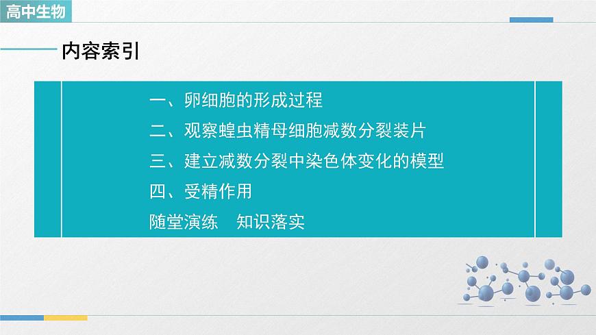 人教版高中生物必修2《2-1减数分裂和受精作用 第2课时》教学课件第3页