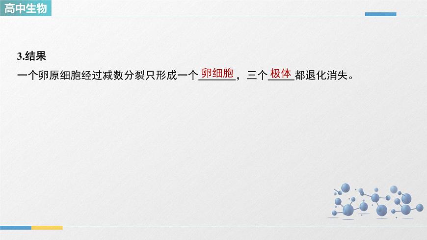 人教版高中生物必修2《2-1减数分裂和受精作用 第2课时》教学课件第6页