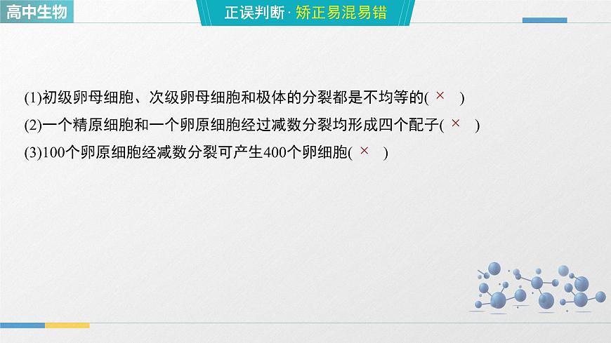 人教版高中生物必修2《2-1减数分裂和受精作用 第2课时》教学课件第8页