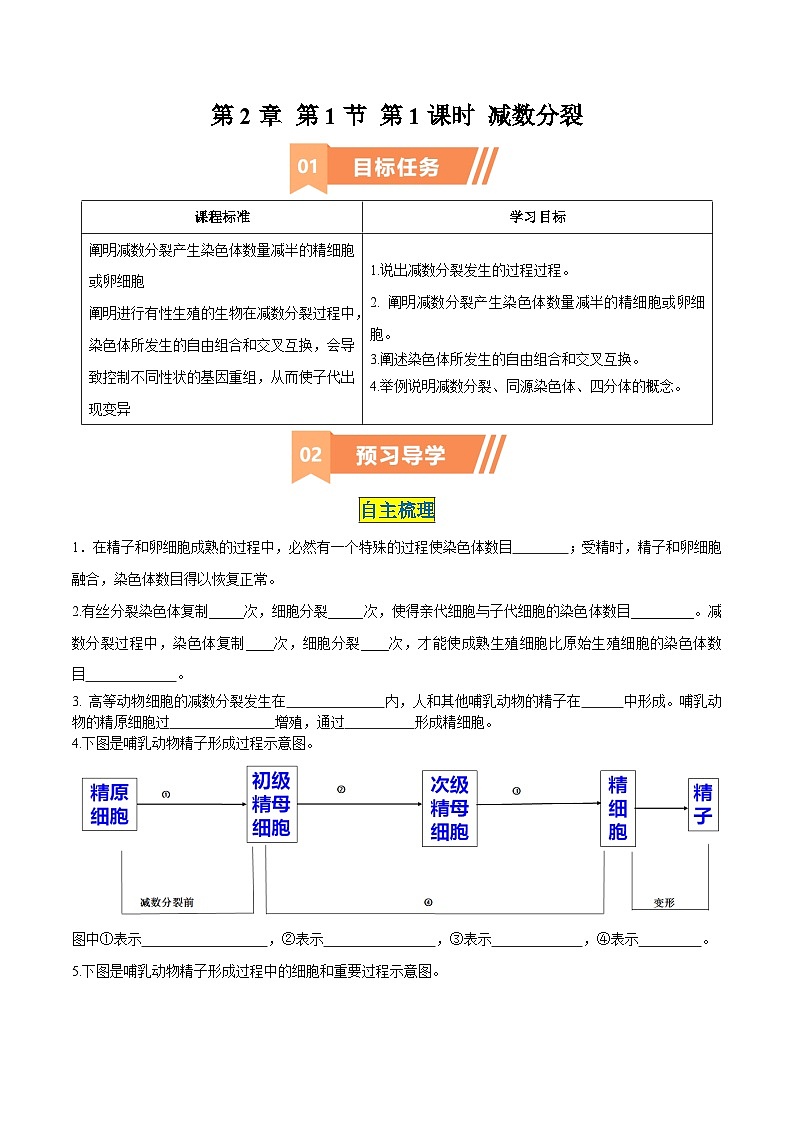 人教版高中生物必修2《2-1 减数分裂(第1课时)》学与练 无答案第1页