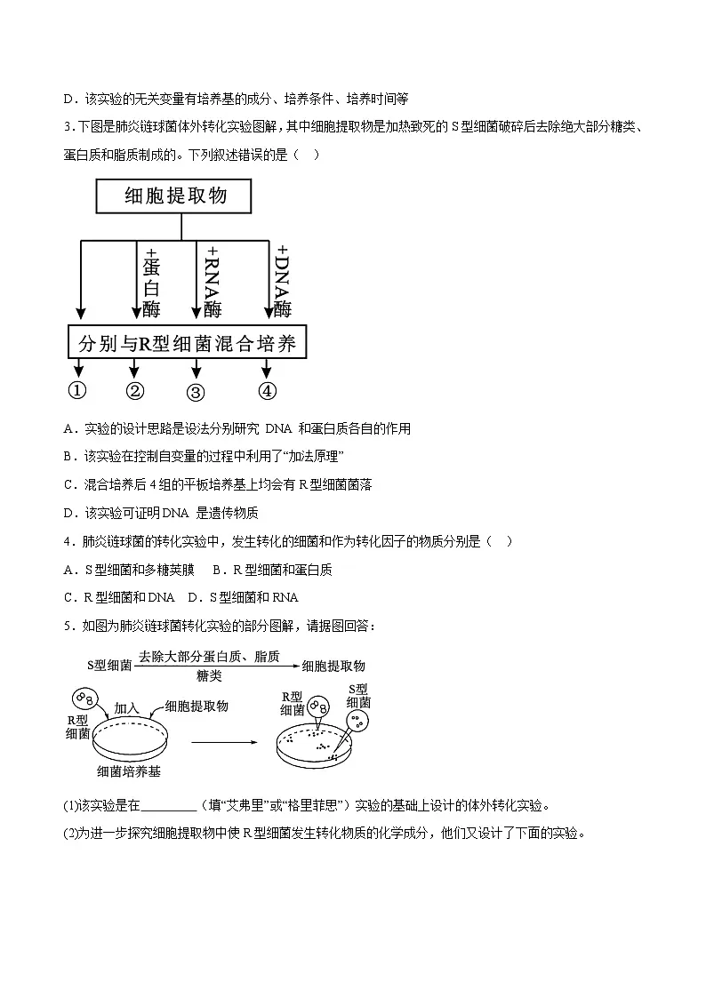 人教版高中生物必修2《3-1 DNA是主要的遗传物质（第1课时）》学与练 无答案第3页