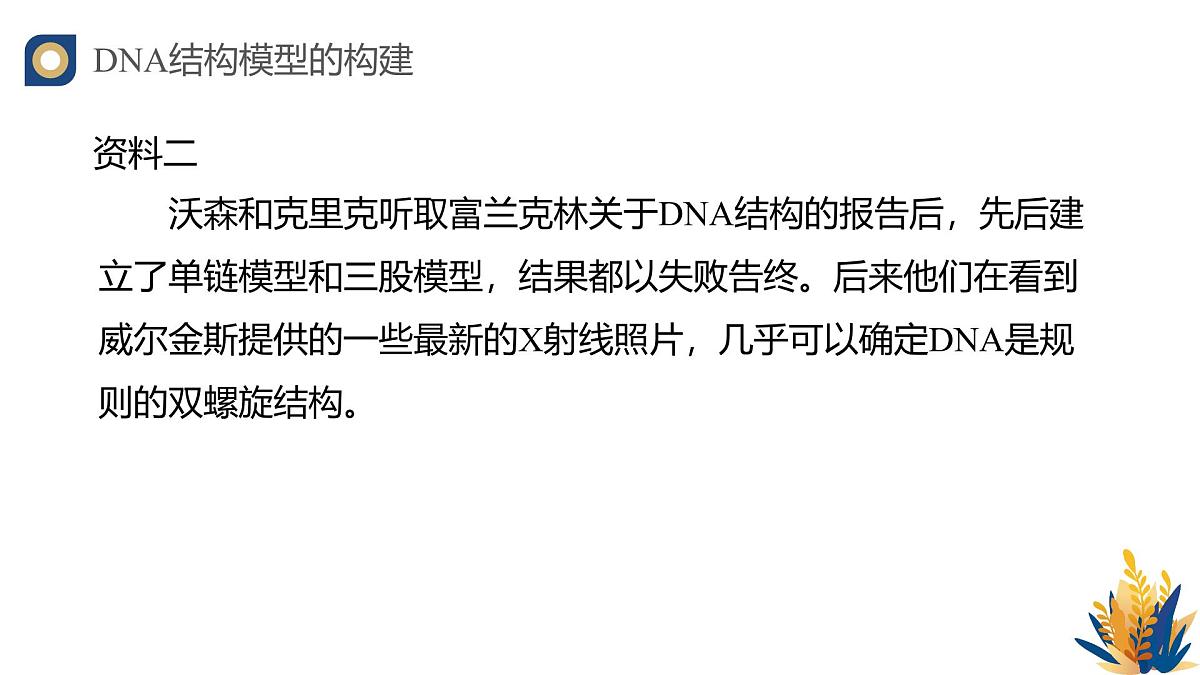 人教版高中生物必修2 3-2《DNA的结构》教学课件第7页