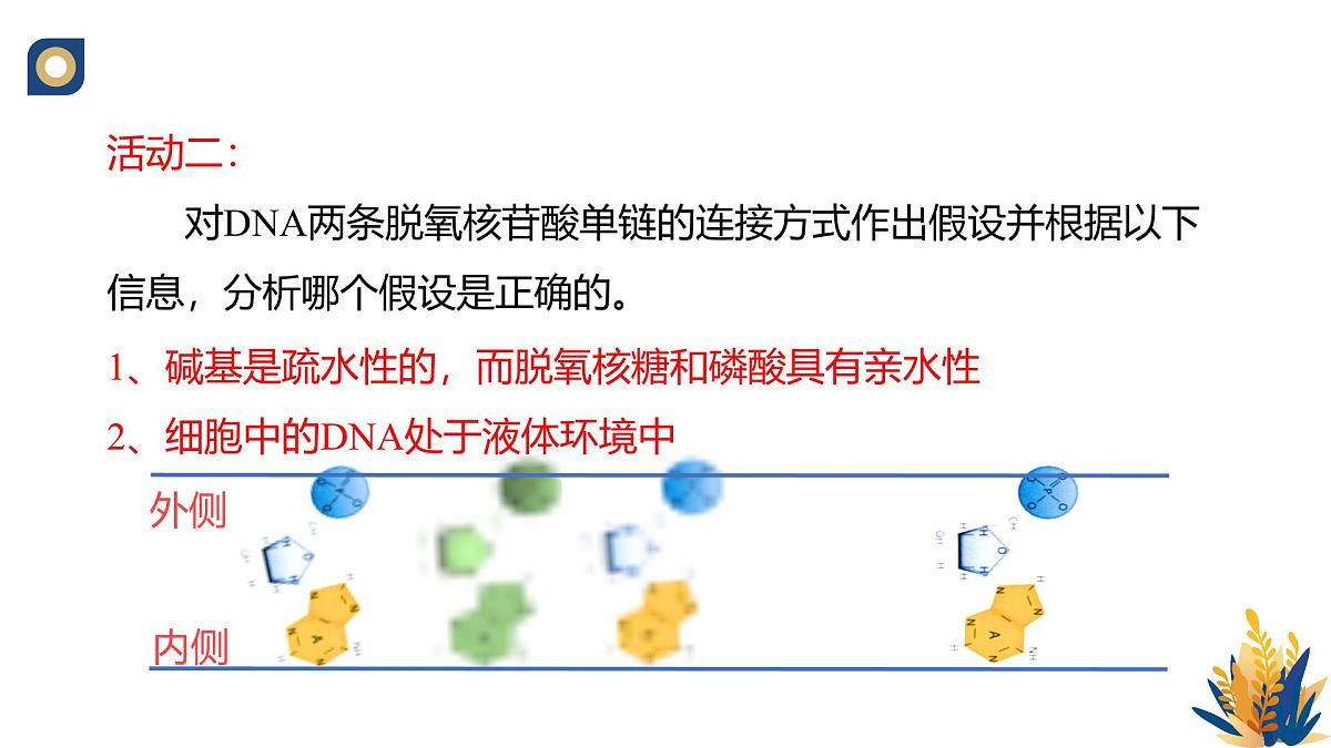 人教版高中生物必修2 3-2《DNA的结构》教学课件第8页