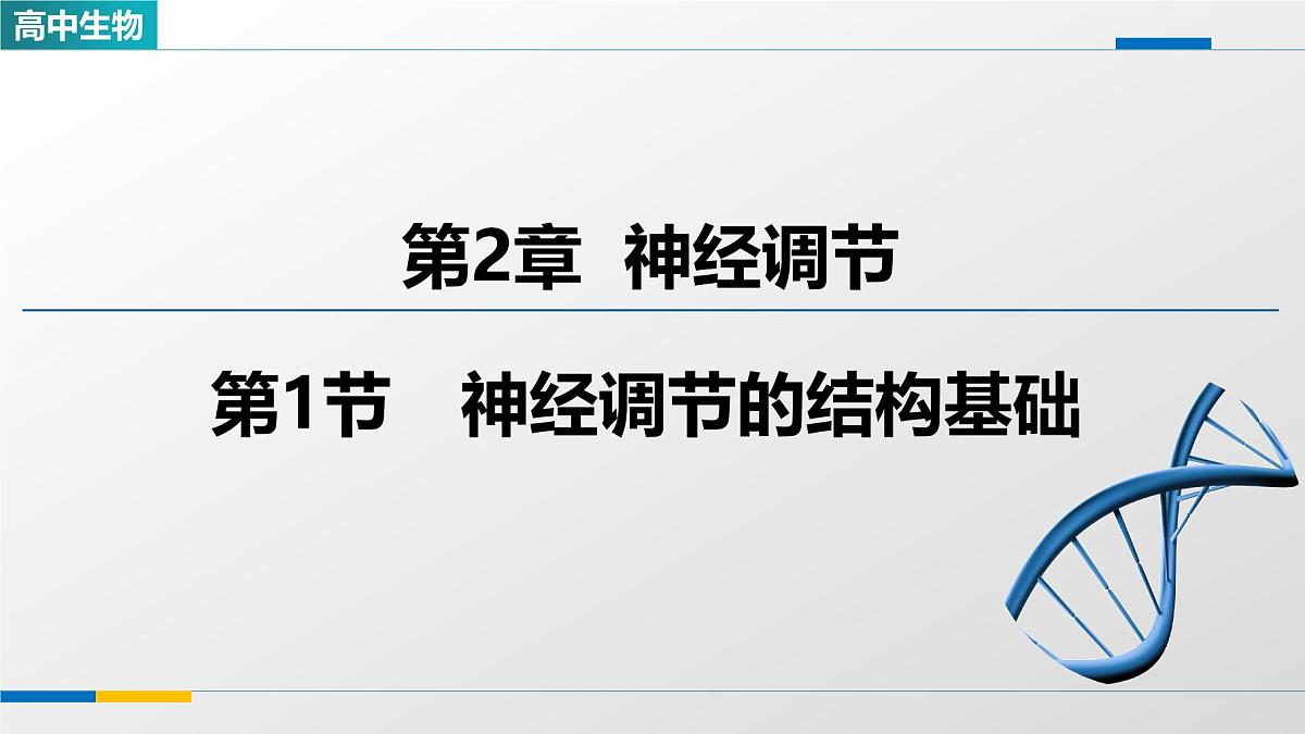 人教版高中生物选修1《2-1神经调节的结构基础》课件第1页