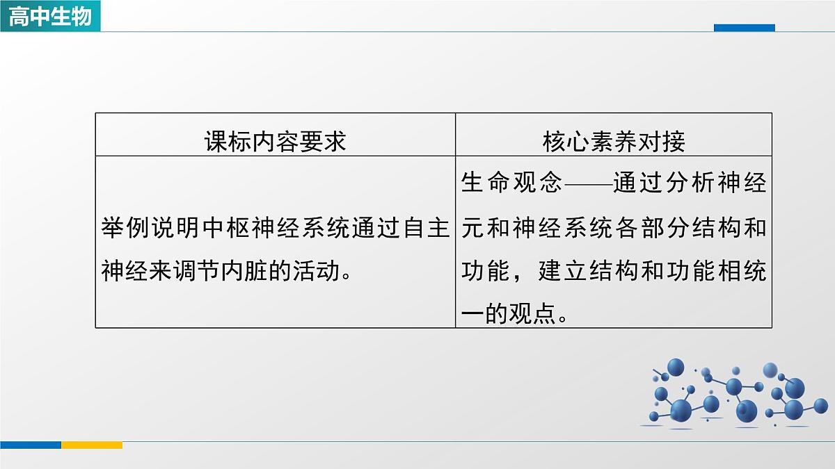 人教版高中生物选修1《2-1神经调节的结构基础》课件第2页