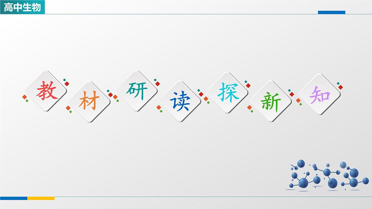 人教版高中生物选修1《2-1神经调节的结构基础》课件第3页