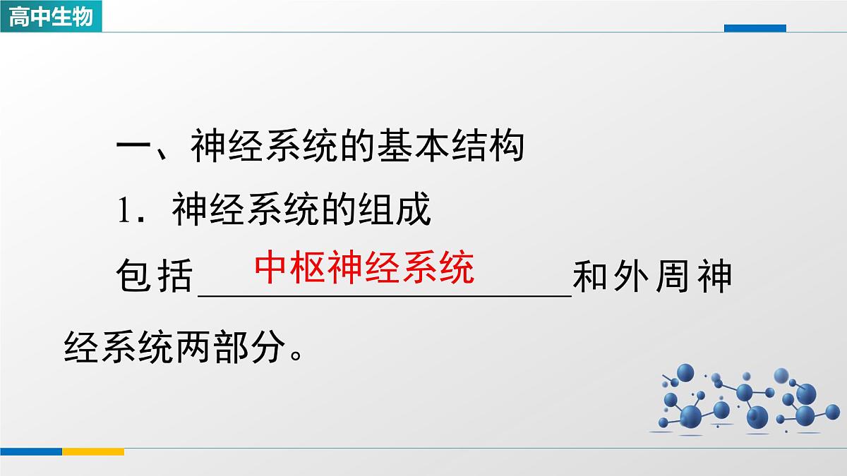 人教版高中生物选修1《2-1神经调节的结构基础》课件第4页