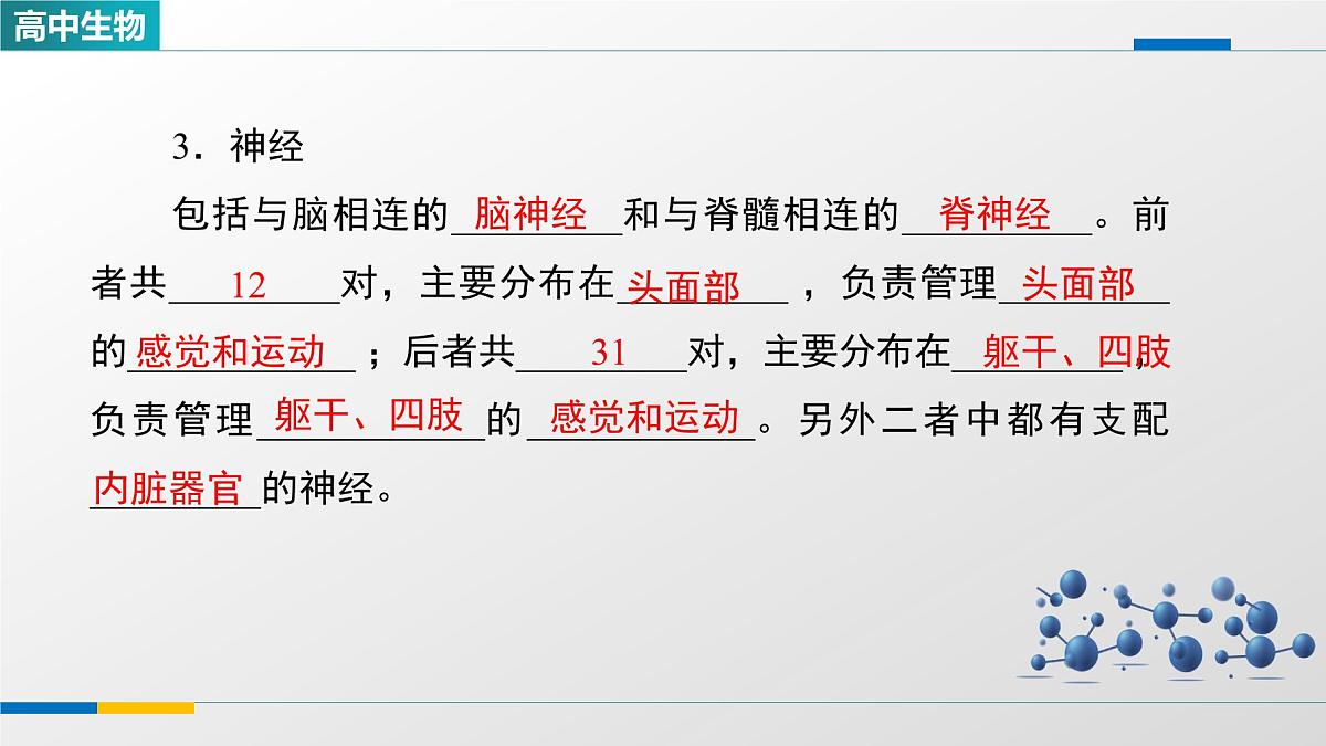 人教版高中生物选修1《2-1神经调节的结构基础》课件第6页