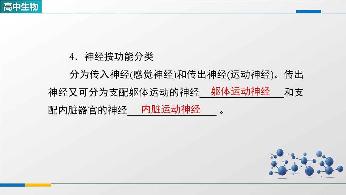 人教版高中生物选修1《2-1神经调节的结构基础》课件第7页