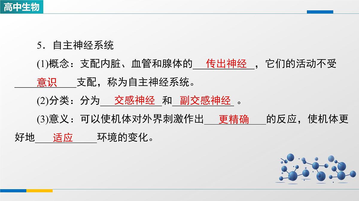 人教版高中生物选修1《2-1神经调节的结构基础》课件第8页