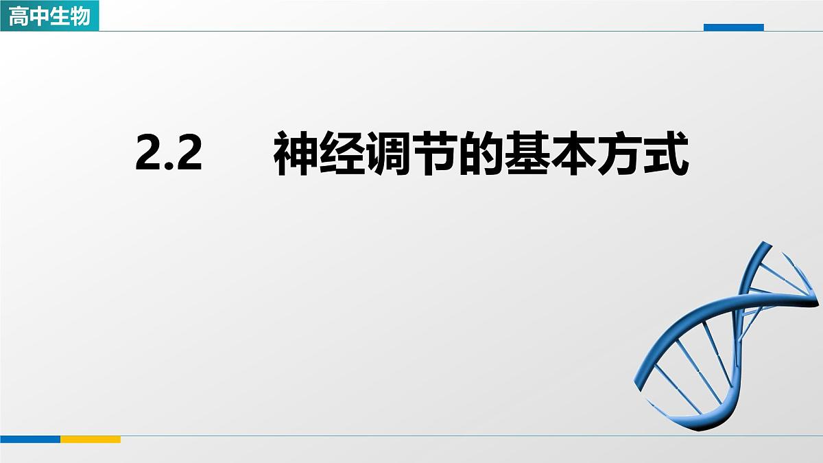 人教版高中生物选修1 2-2《神经调节的基本方式》课件第1页