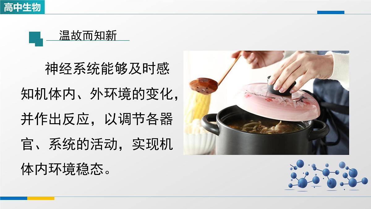 人教版高中生物选修1 2-2《神经调节的基本方式》课件第2页