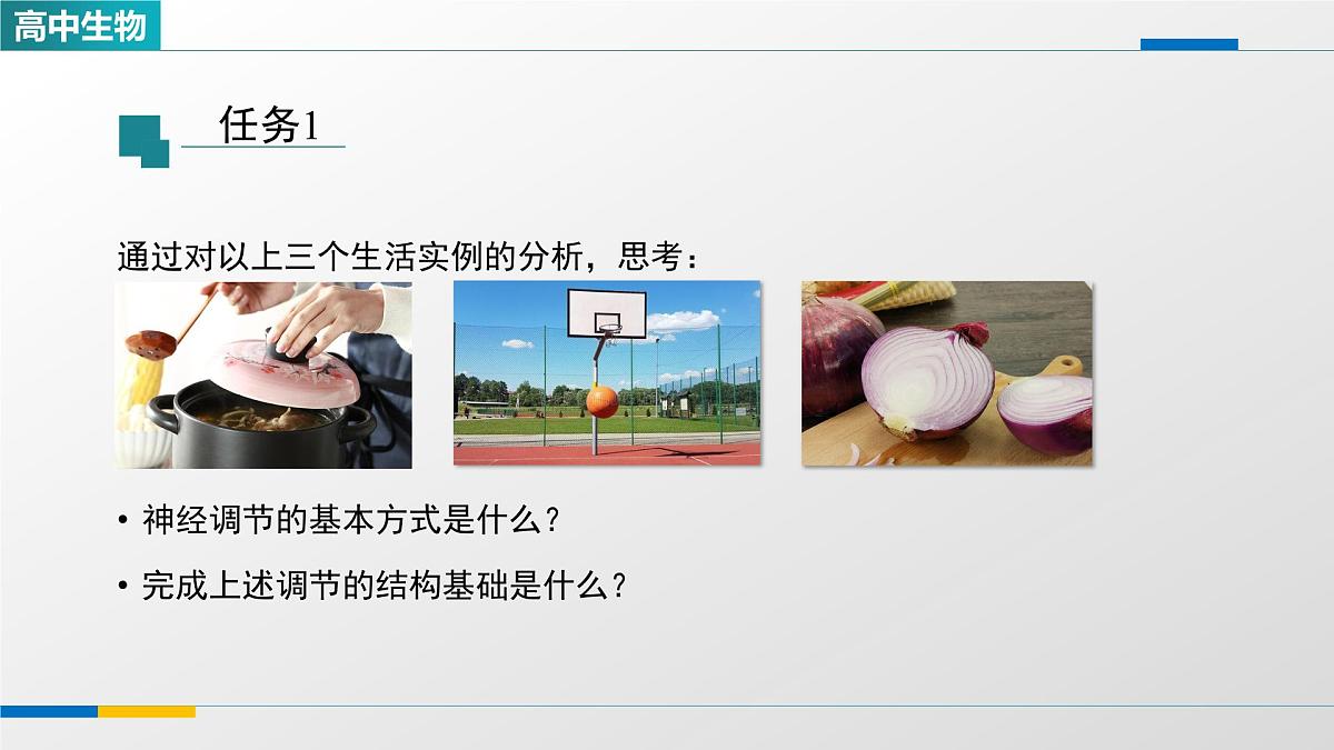 人教版高中生物选修1 2-2《神经调节的基本方式》课件第5页