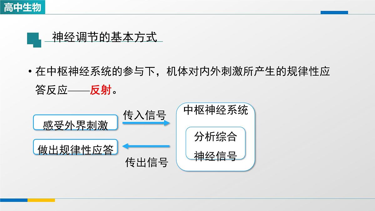 人教版高中生物选修1 2-2《神经调节的基本方式》课件第6页