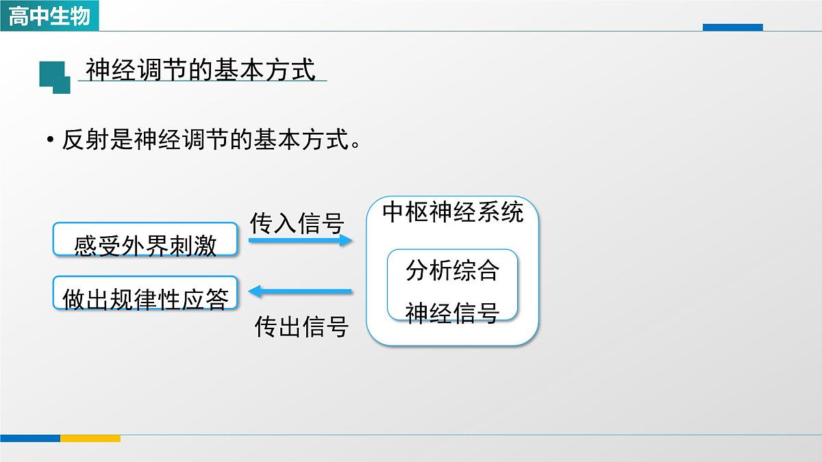 人教版高中生物选修1 2-2《神经调节的基本方式》课件第7页