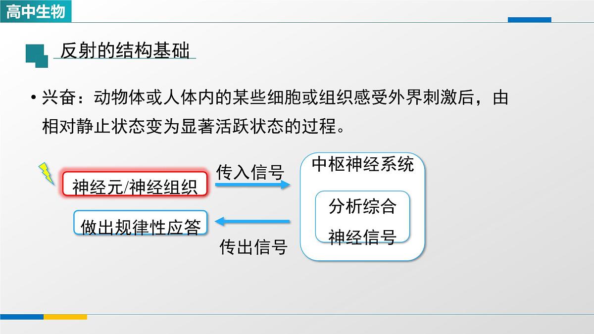 人教版高中生物选修1 2-2《神经调节的基本方式》课件第8页