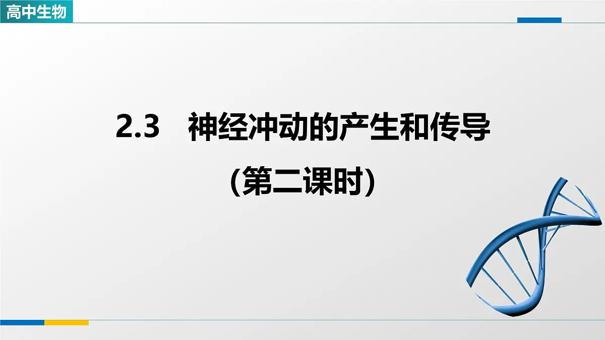 人教版高中生物选修1 2-3《神经冲动的产生和传导（第二课时）》课件第1页