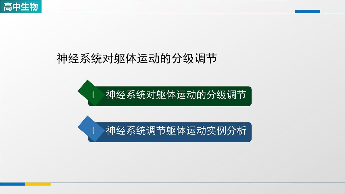 人教版高中生物选修1 2-4《神经系统的分级调节（第一课时）》课件第4页