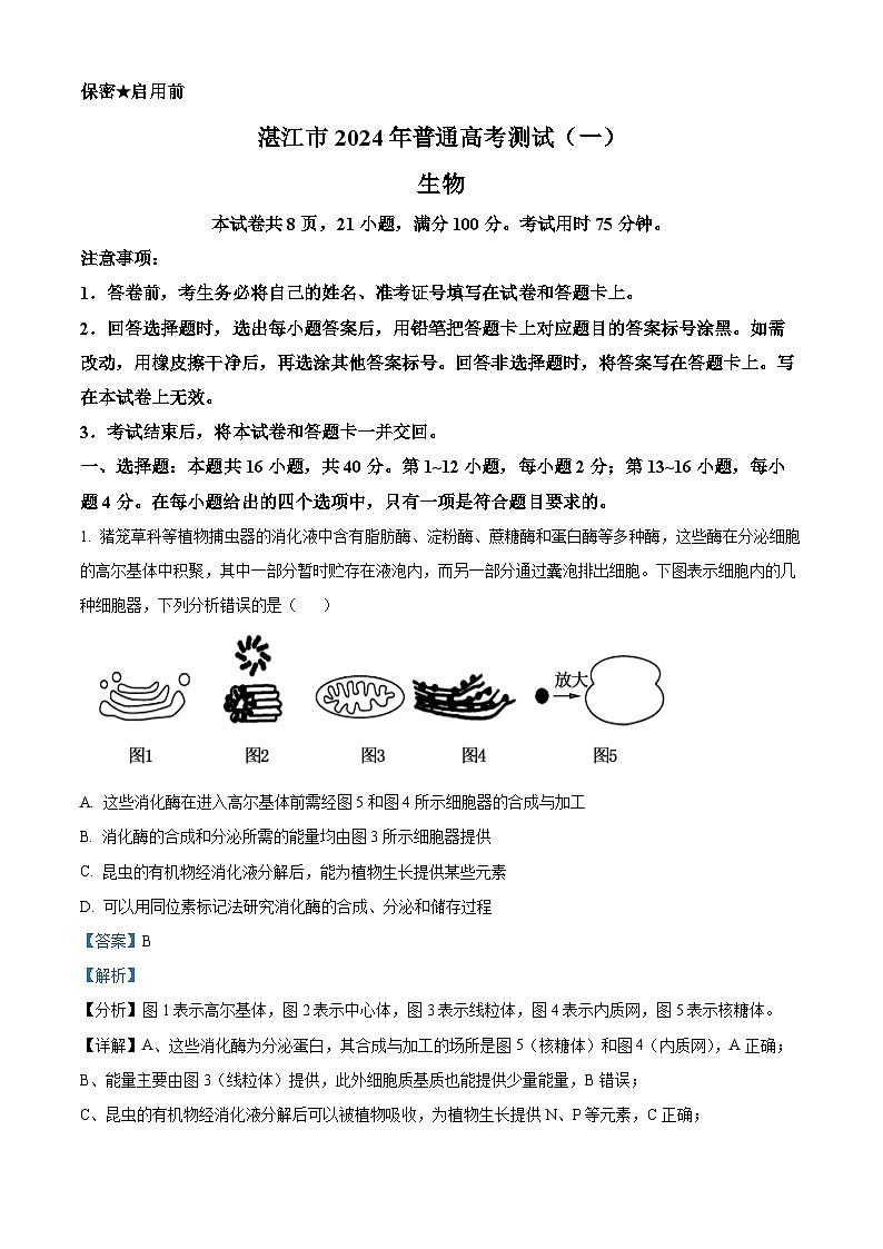 2024届广东省湛江市高三一模生物试题  Word版含解析第1页