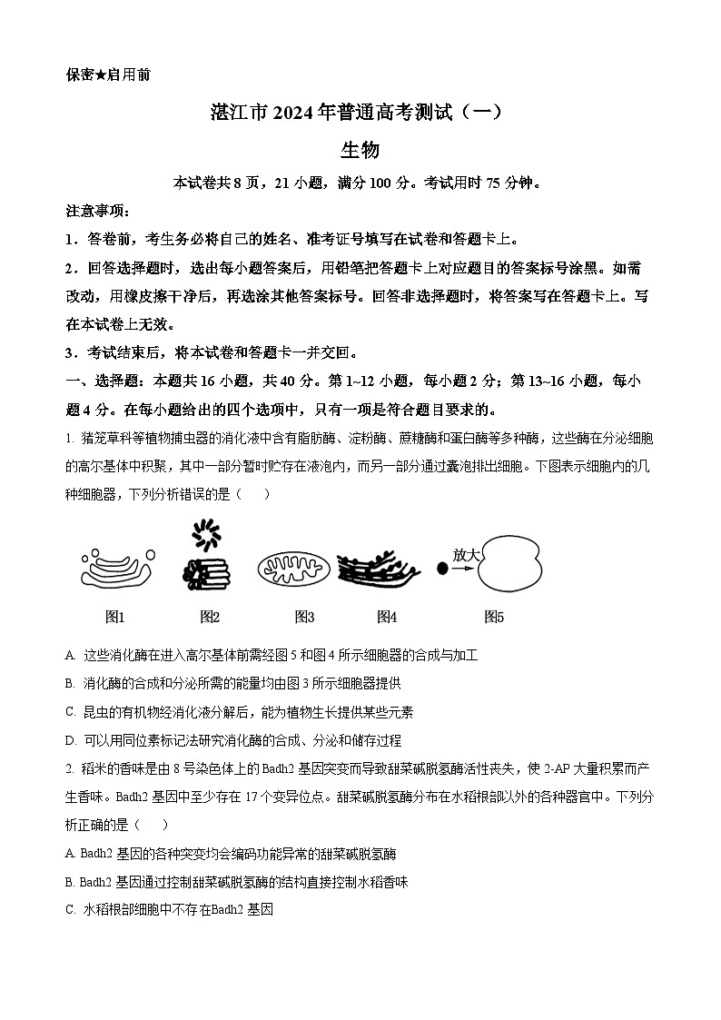 2024届广东省湛江市高三一模生物试题  Word版无答案第1页