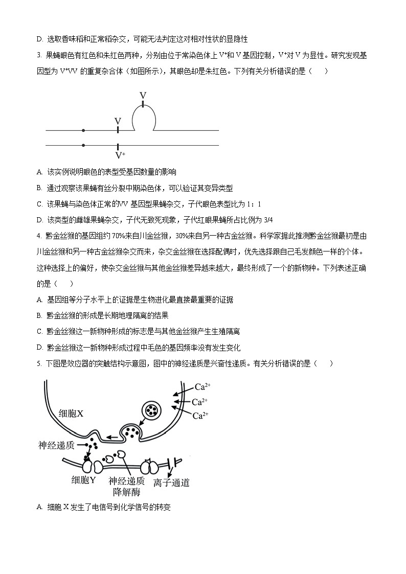 2024届广东省湛江市高三一模生物试题  Word版无答案第2页