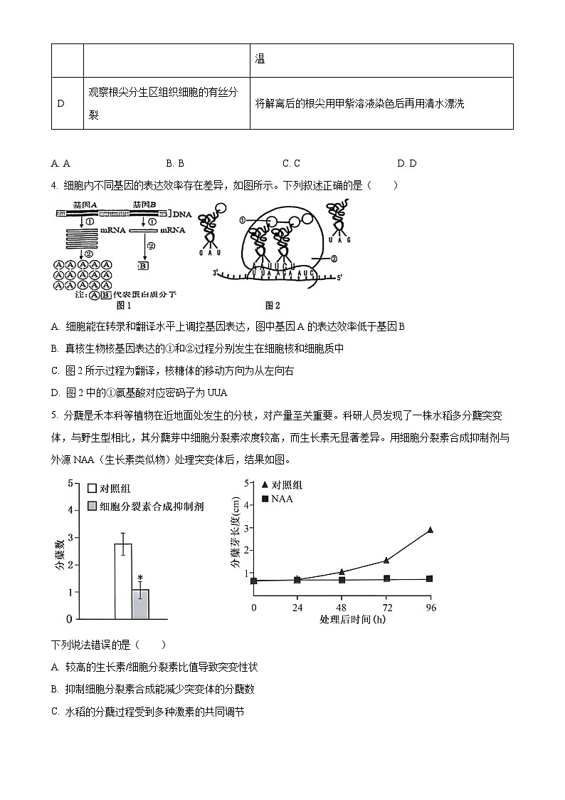 2025届天津市滨海新区高三三模生物试题  Word版无答案第2页