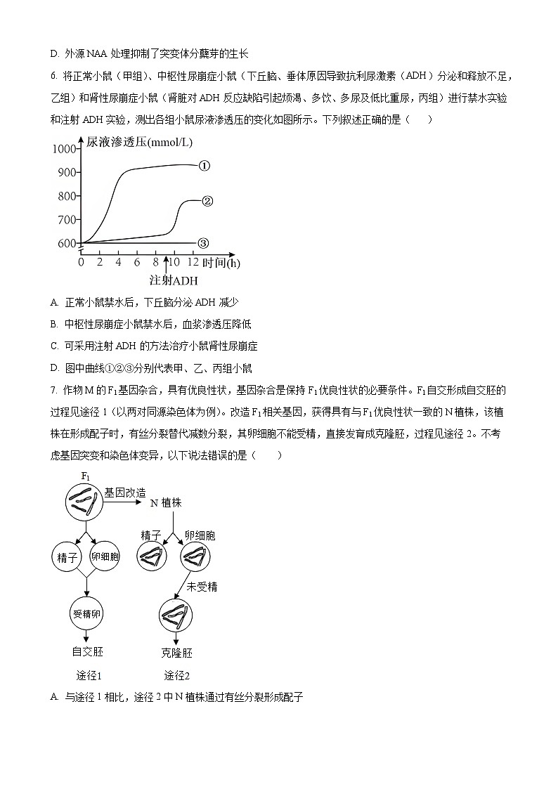 2025届天津市滨海新区高三三模生物试题  Word版无答案第3页