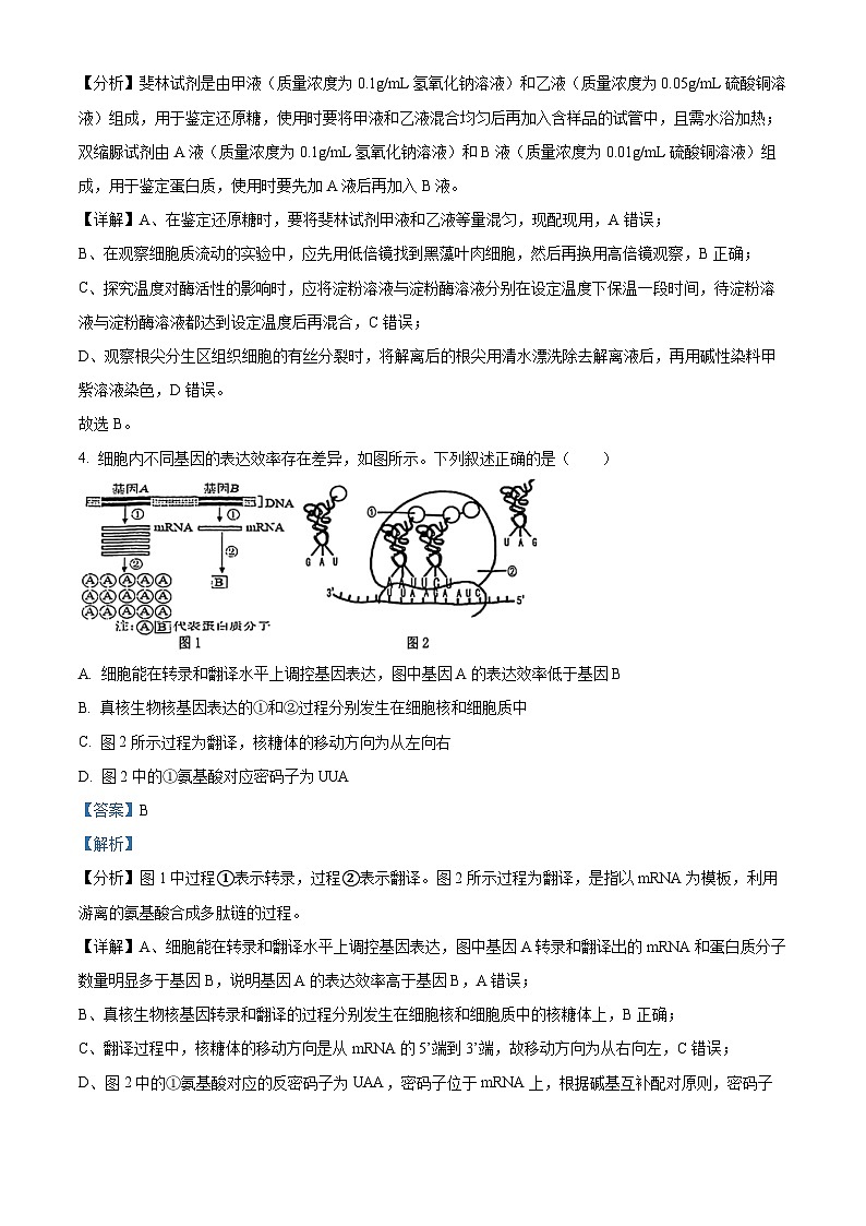 2025届天津市滨海新区高三三模生物试题  Word版含解析第3页