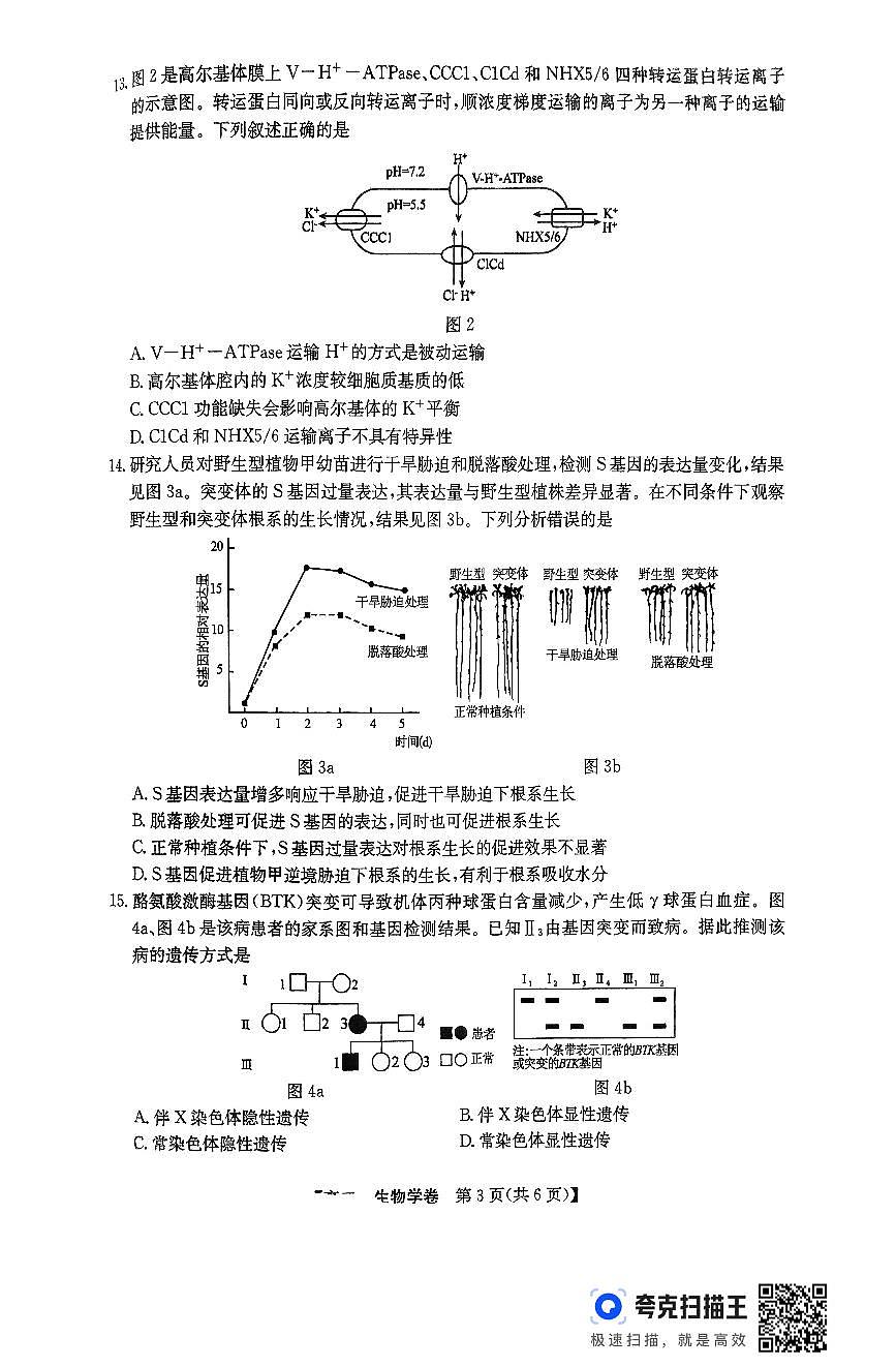 广东省清远市2026届新高二下学期6月期末考试-生物试卷+答案第3页