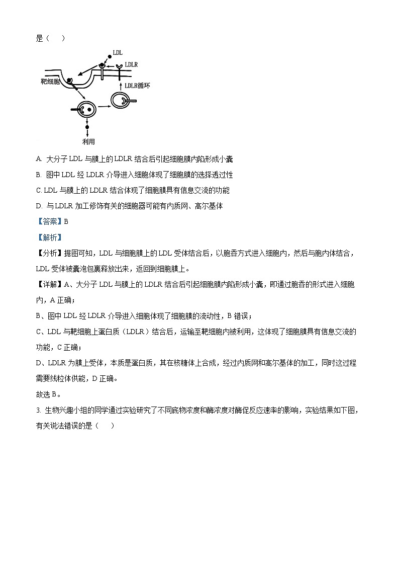 安徽省蚌埠市2024-2025学年高三上学期1月期末考试生物试题  Word版含解析第2页