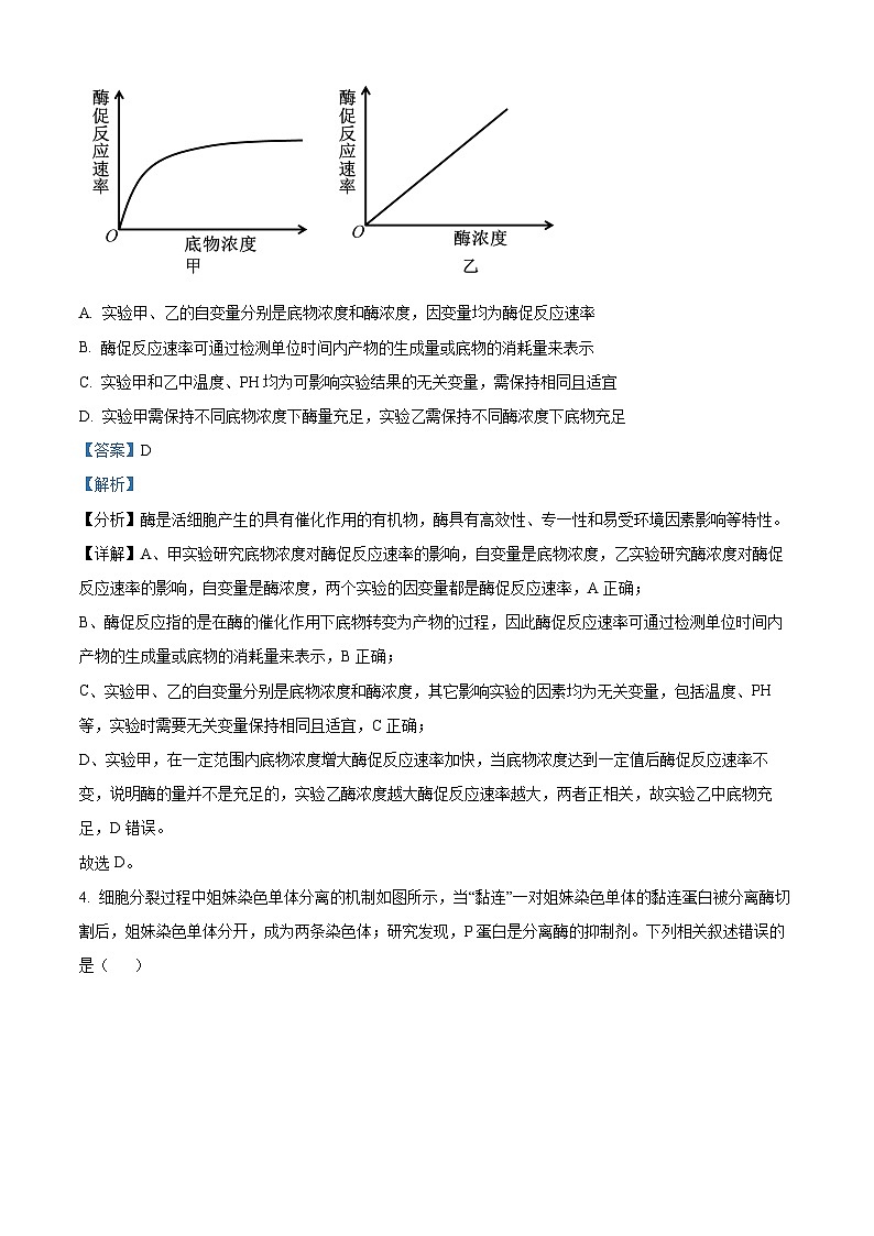 安徽省蚌埠市2024-2025学年高三上学期1月期末考试生物试题  Word版含解析第3页