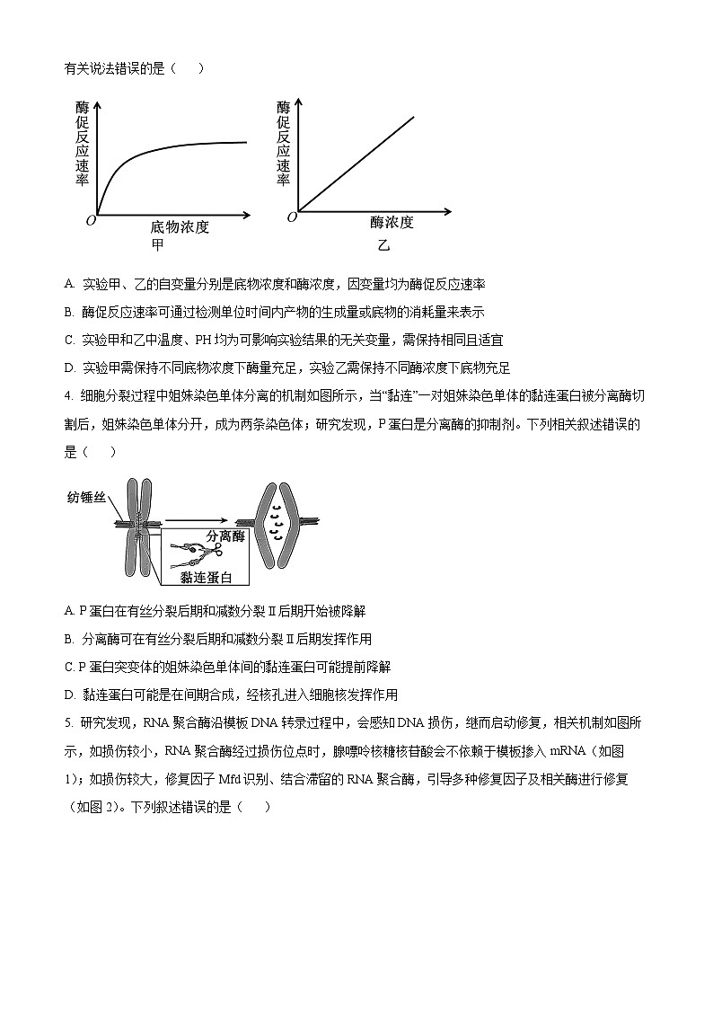 安徽省蚌埠市2024-2025学年高三上学期1月期末考试生物试题  Word版无答案第2页