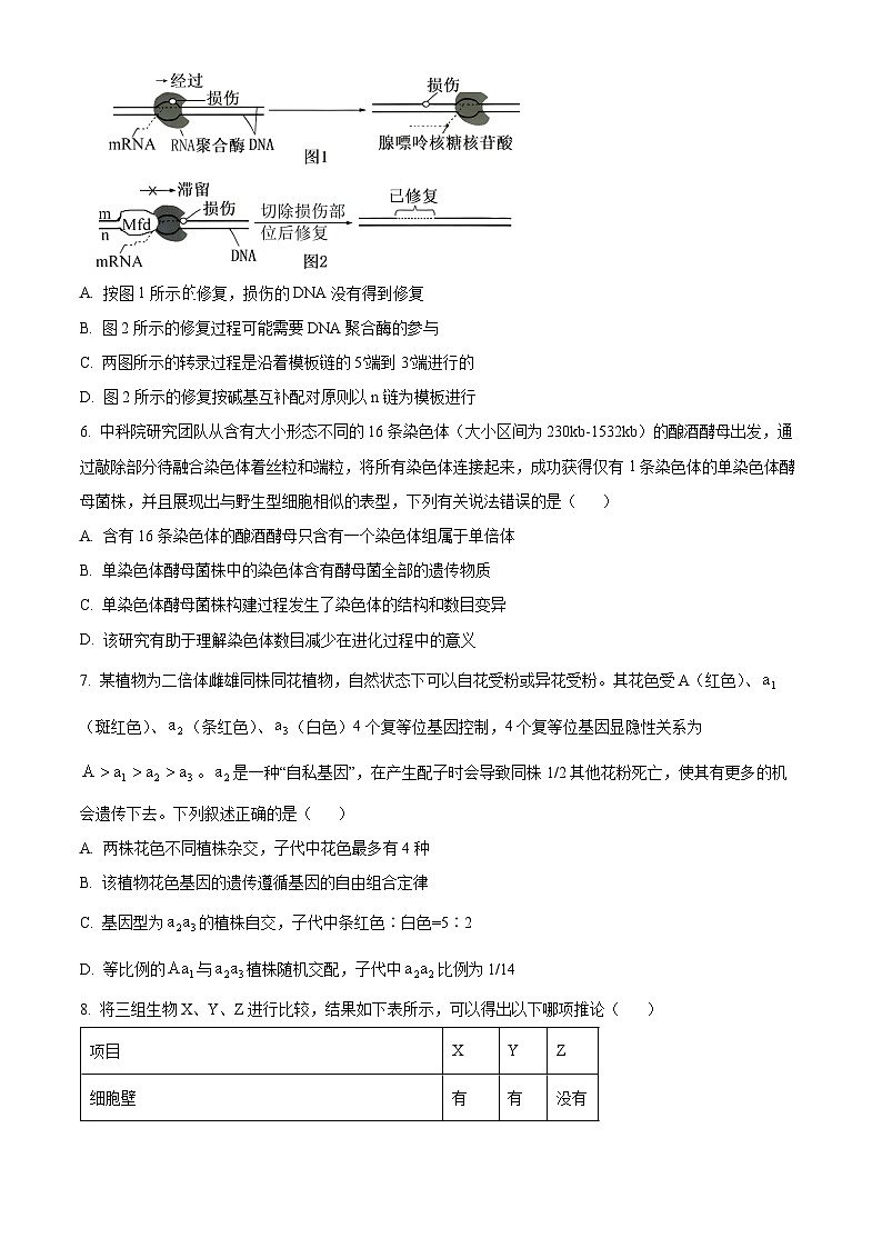 安徽省蚌埠市2024-2025学年高三上学期1月期末考试生物试题  Word版无答案第3页