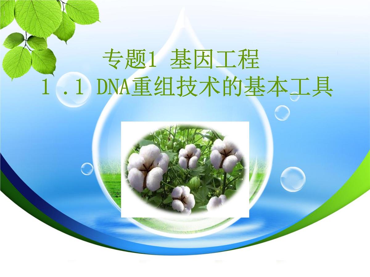 高中生物人教版（新课标）选修3 专题1 1.1《DNA重组技术的基本工具》课件第1页