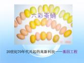 高中生物人教版（新課標(biāo)）選修3 專題1 1.1《DNA重組技術(shù)的基本工具》課件