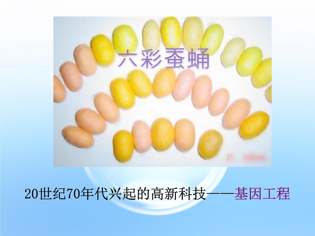 高中生物人教版（新课标）选修3 专题1 1.1《DNA重组技术的基本工具》课件第3页