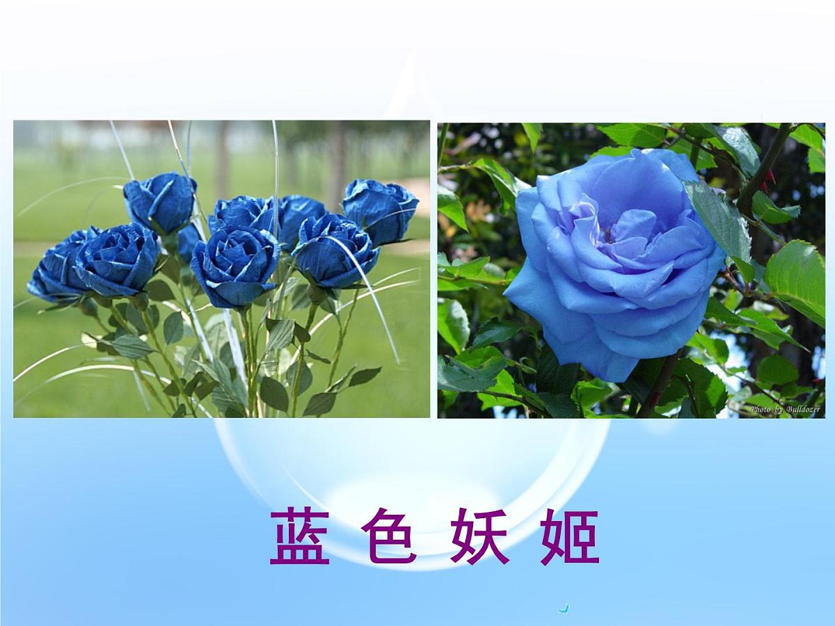 高中生物人教版（新课标）选修3 专题1 1.1《DNA重组技术的基本工具》课件第6页