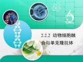 人教版 (新課標(biāo))高中生物選修3 2.2.2《動(dòng)物細(xì)胞融合與單克隆抗體》復(fù)習(xí)課件