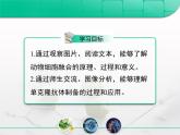 人教版 (新課標(biāo))高中生物選修3 2.2.2《動(dòng)物細(xì)胞融合與單克隆抗體》復(fù)習(xí)課件
