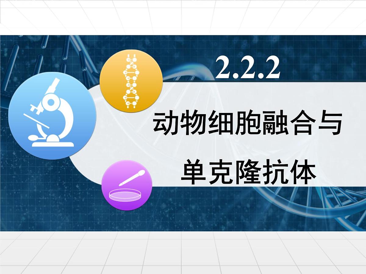 人教版 (新课标)高中生物选修3 2.2.2《动物细胞融合与单克隆抗体》课件第1页