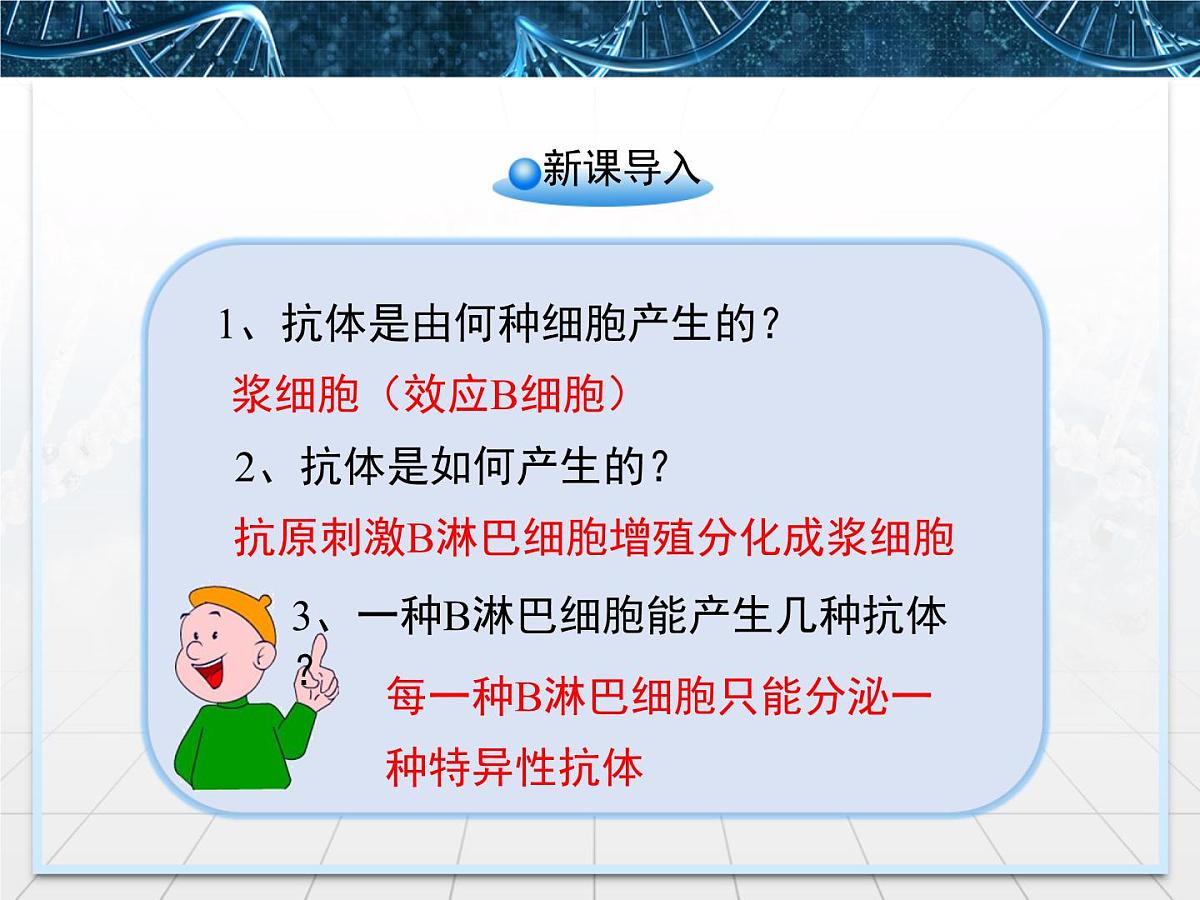 人教版 (新课标)高中生物选修3 2.2.2《动物细胞融合与单克隆抗体》课件第2页