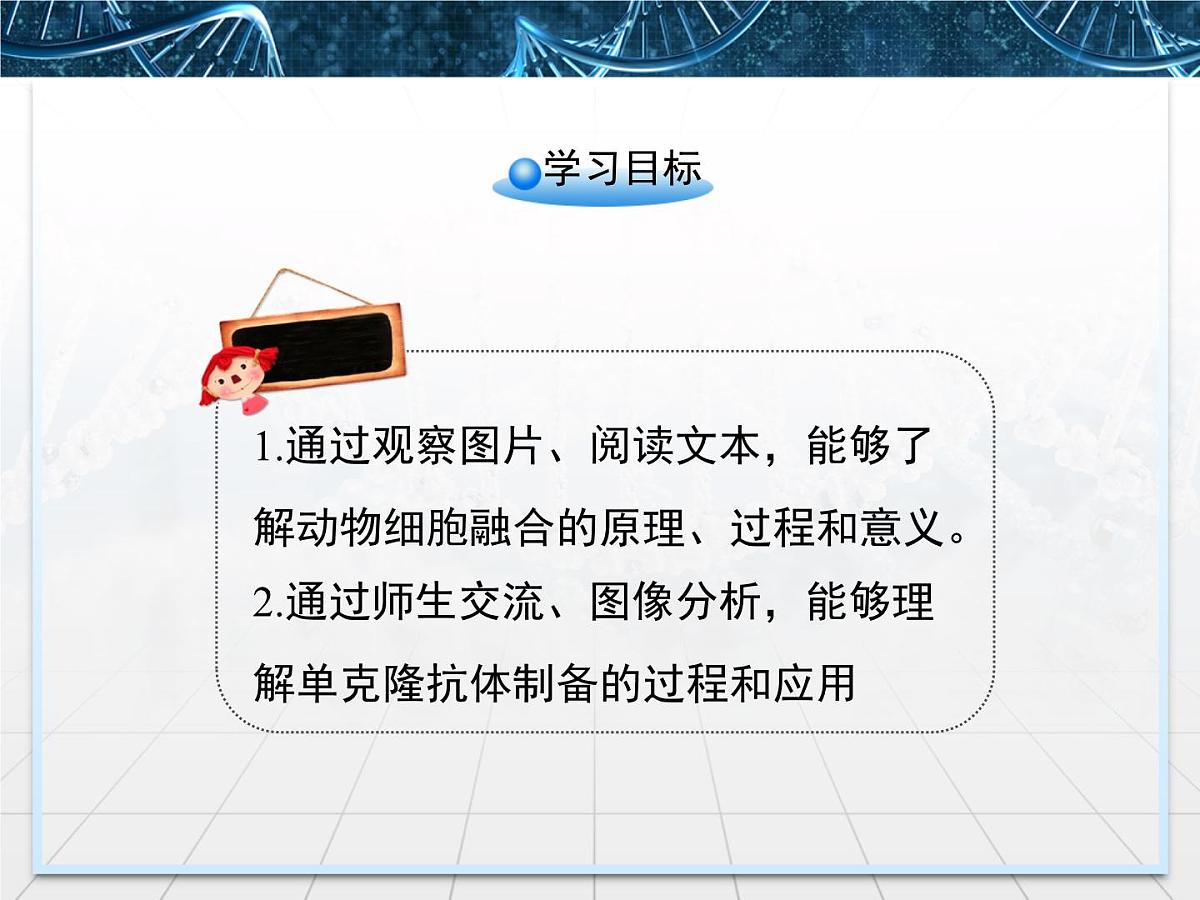 人教版 (新课标)高中生物选修3 2.2.2《动物细胞融合与单克隆抗体》课件第3页