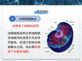 人教版 (新課標(biāo))高中生物選修3 2.2.2《動(dòng)物細(xì)胞融合與單克隆抗體》課件