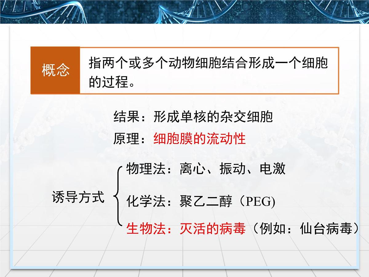 人教版 (新课标)高中生物选修3 2.2.2《动物细胞融合与单克隆抗体》课件第6页