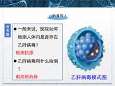 人教版 (新課標(biāo))高中生物選修3 2.2.2《動(dòng)物細(xì)胞融合與單克隆抗體》課件