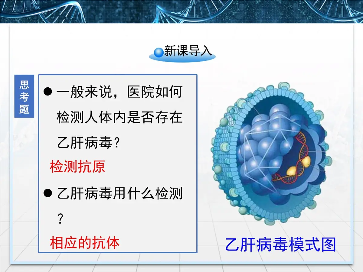 人教版 (新课标)高中生物选修3 2.2.2《动物细胞融合与单克隆抗体》课件第2页