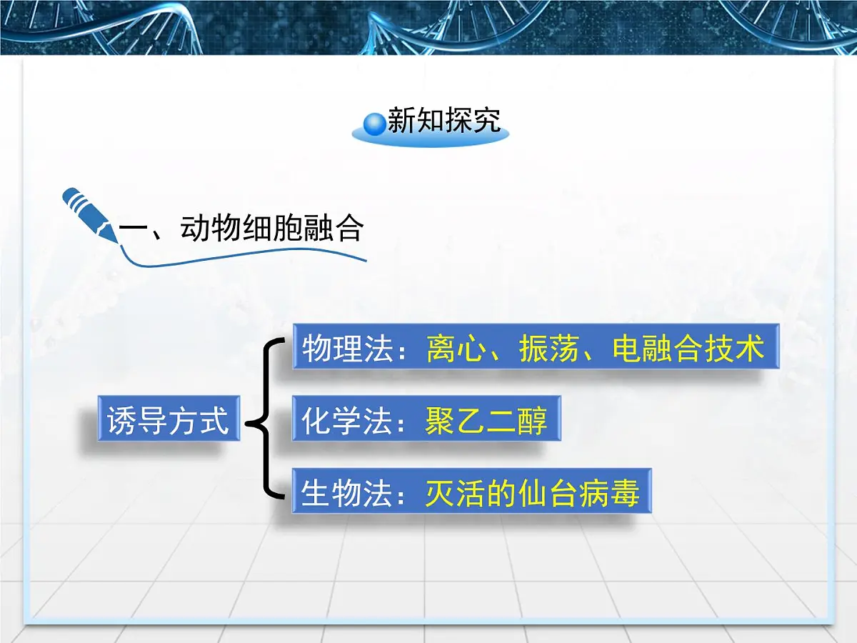 人教版 (新课标)高中生物选修3 2.2.2《动物细胞融合与单克隆抗体》课件第4页