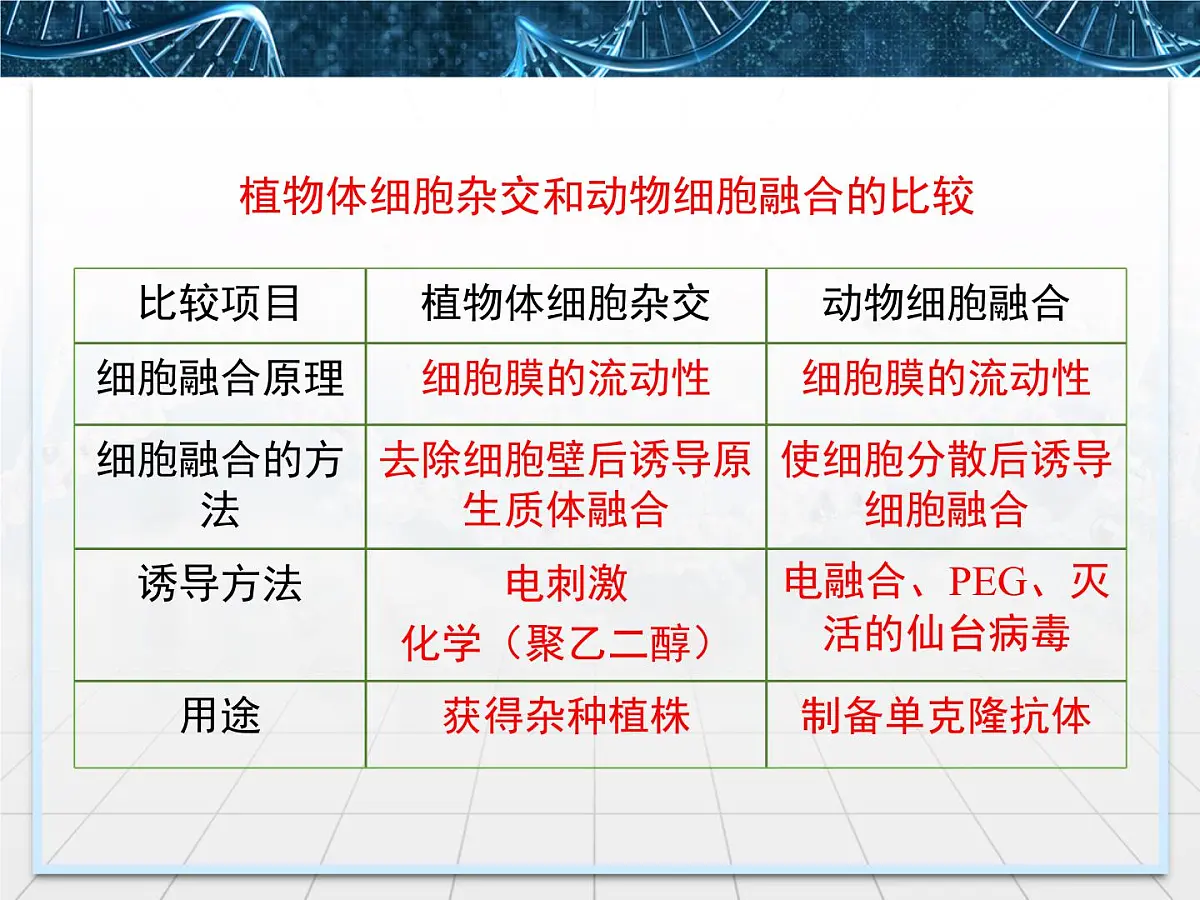 人教版 (新课标)高中生物选修3 2.2.2《动物细胞融合与单克隆抗体》课件第7页